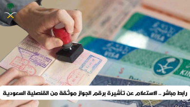 الاستعلام عن تأشيرة برقم الجواز