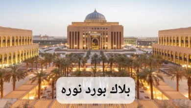 بلاك بورد نوره