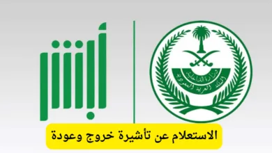 الاستعلام عن تأشيرة خروج وعودة