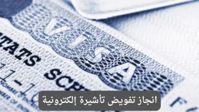 انجاز تفويض