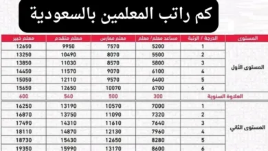 راتب المعلمين