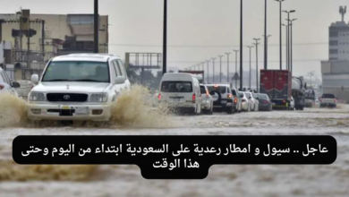 امطار رعدية على السعودية