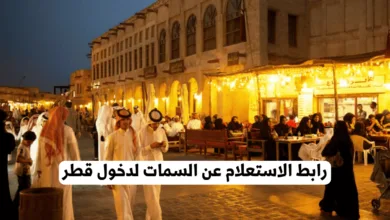 الاستعلام عن السمات