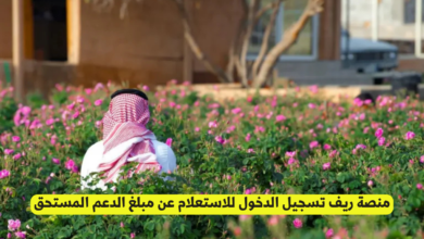 ريف تسجيل الدخول