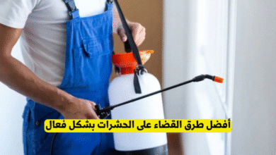 أفضل طرق القضاء على الحشرات