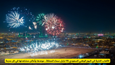 الألعاب النارية في اليوم الوطني