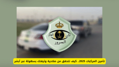 تأمين المركبات