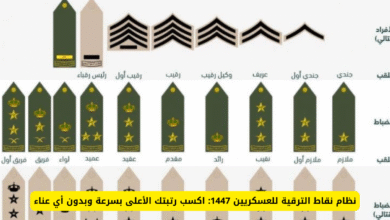 نقاط الترقية
