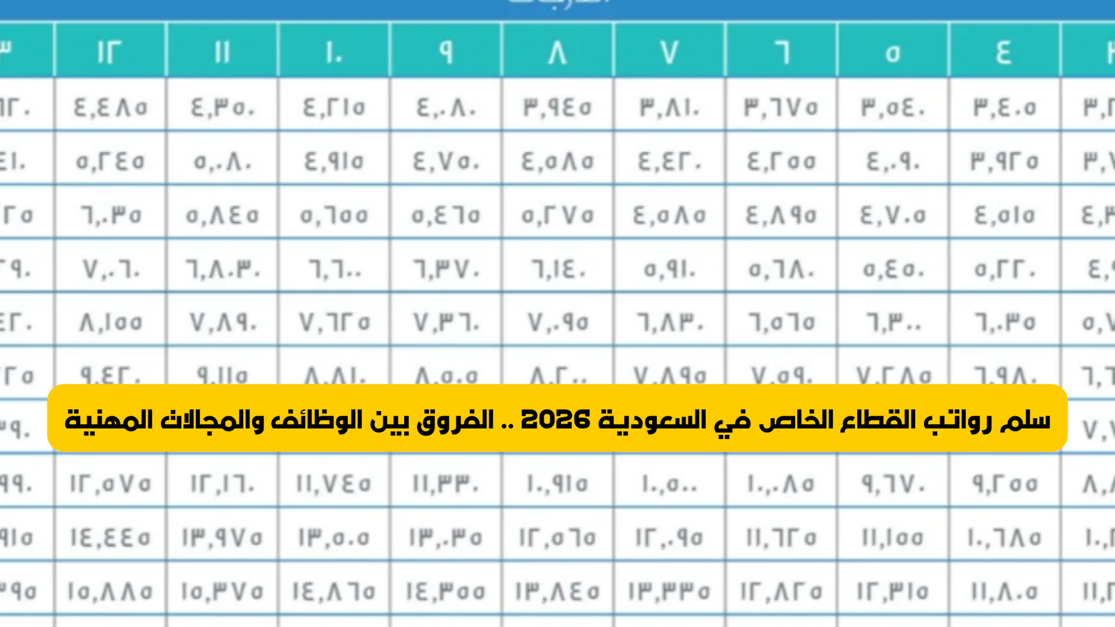سلم رواتب القطاع الخاص