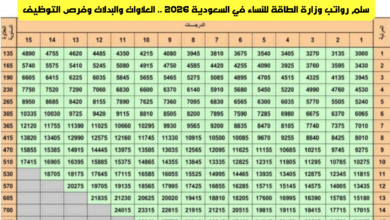 سلم رواتب وزارة الطاقة للنساء