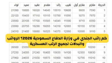 كم راتب الجندي