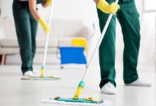 أفضل شركة خدمات منزلية لمكافحة الحشرات