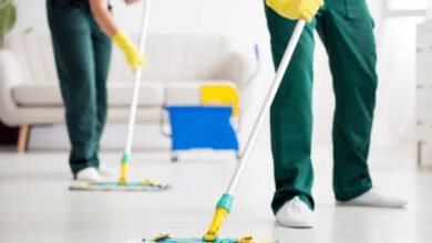 أفضل شركة خدمات منزلية لمكافحة الحشرات